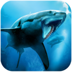 海鲨模拟器(Helicoprion Simulator)