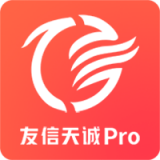 友信天诚pro